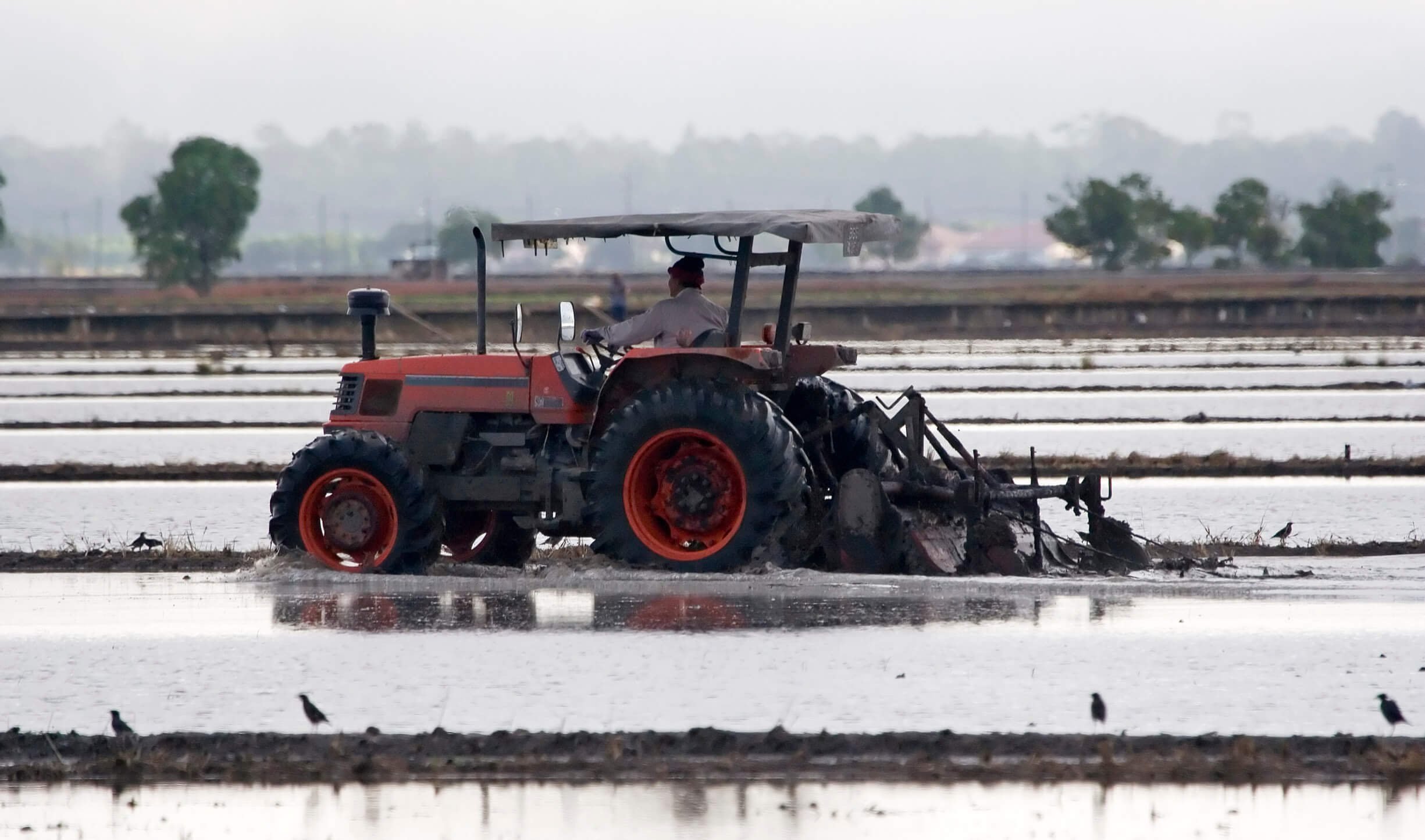 USDA Disaster Relief